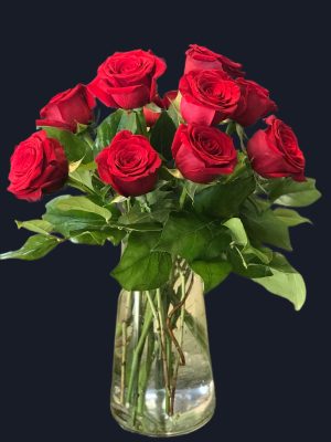 Classic One Dozen Roses