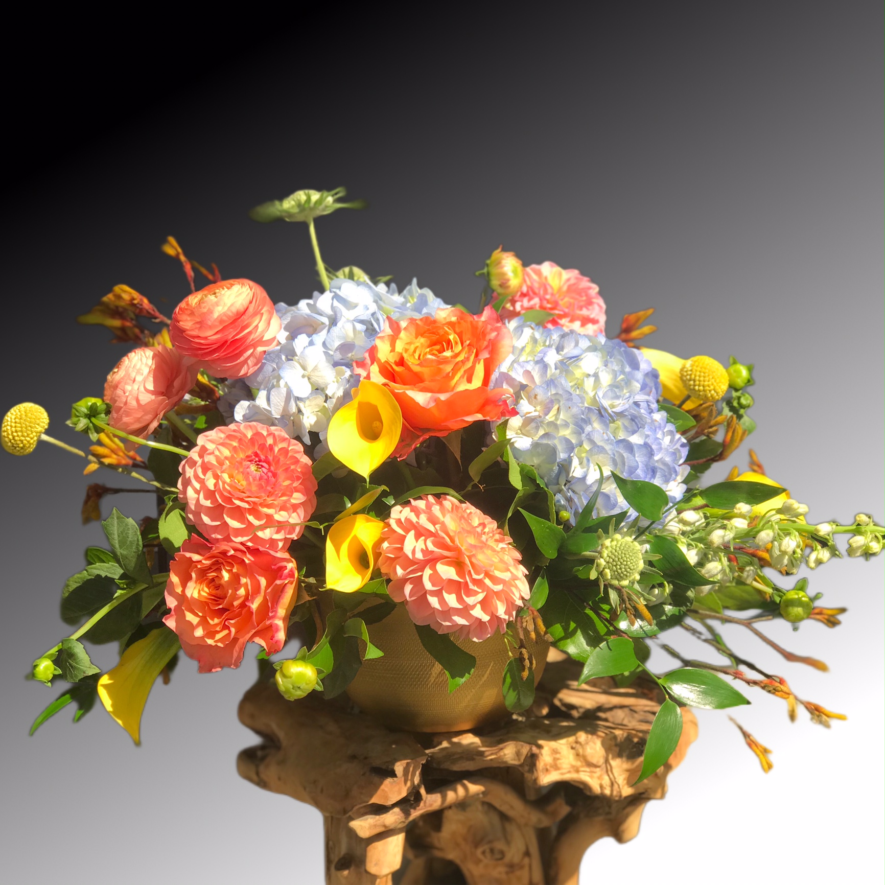 F5B6726C-5B15-46BF-8640-D7F9ABAE64D4