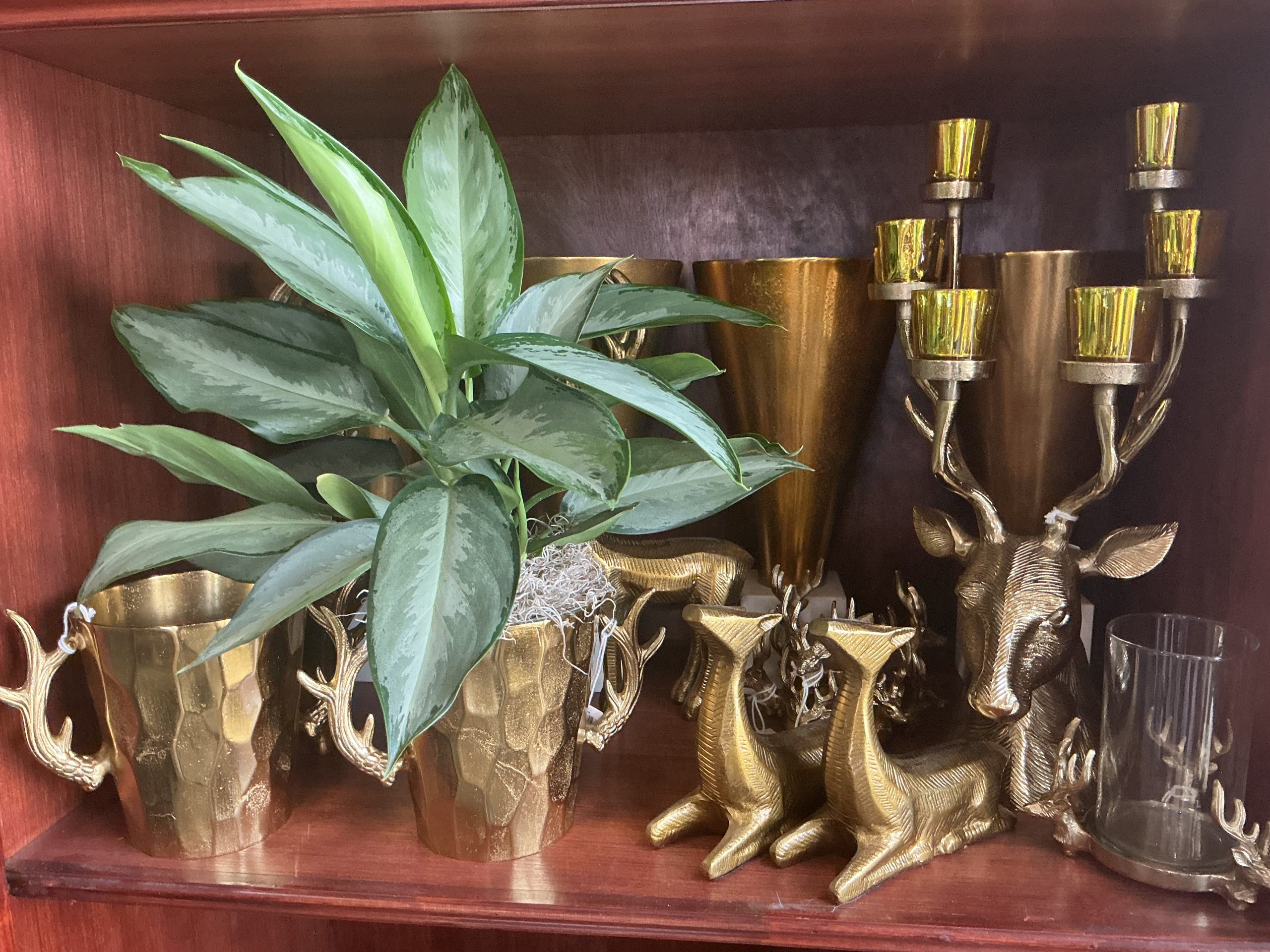 Gold Metal Stag Collection - Image 3