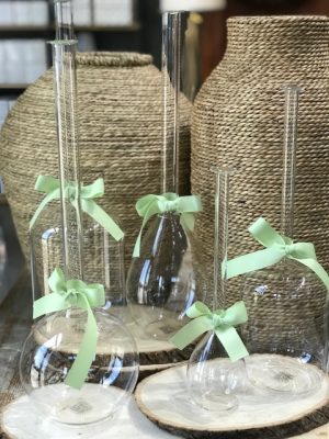 Long Neck Sleek Vase Collection
