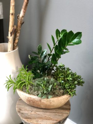 Plant Container Garden