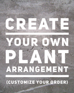 Create Your Own Plant Arrangement