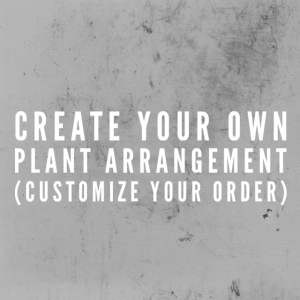 Create Your Own Plant Arrangement