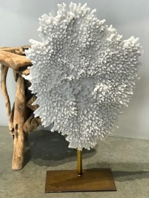 White Coral Sculpture