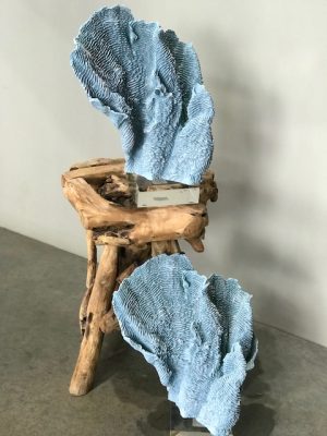 Blue Coral