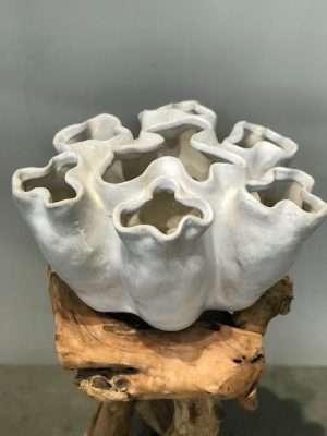 Coral Vase